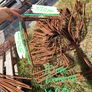 Selection of Rebar available. See photos Image 2
