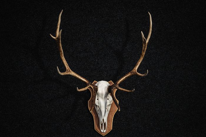 Antlers