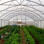 Polytunnels Kenmare Image 5