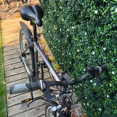 womens bike