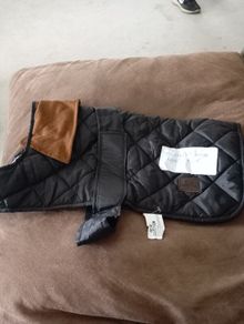 dog coat