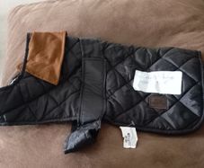dog coat