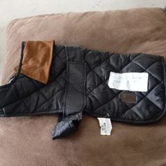 dog coat