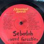 Sebadoh - Weed Forestin (First Press) Image 3
