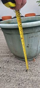 Garden Pot