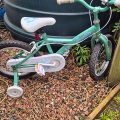 apollo kids bike child bicycle