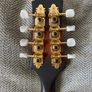 mandolin Image 5