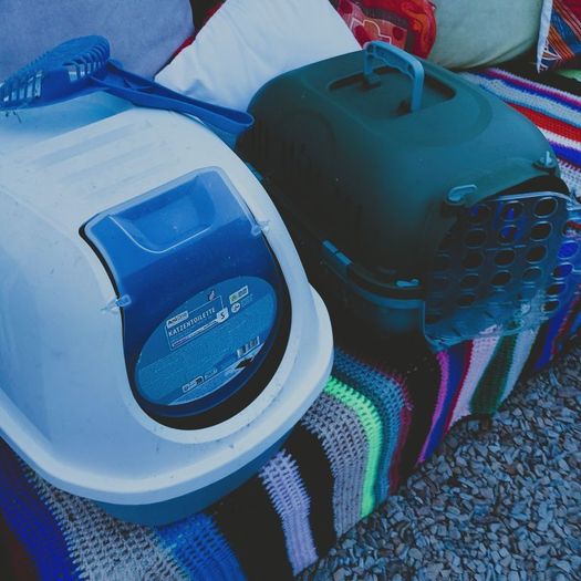 cat carrier and litter tray