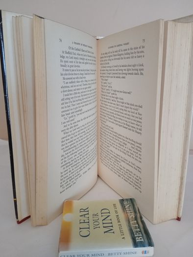 A Treasury of Intimate Biographies: Dramatic Stories from the Lives of Great Men by Those Who Knew Them Well Edited by Louis L. Snyder (GT96)