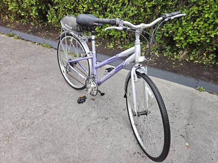 Giant Bike