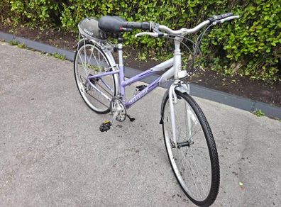 Giant Bike