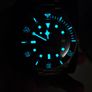 Tudor Pelagos 2026 Image 4