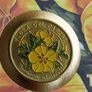 Cuba Coin stamp cover Marilope Turnera ulmifolia flower 1997 Image 2