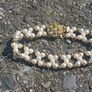 Vintage jewelry is sold individually for 5 to 10 euros Image 5