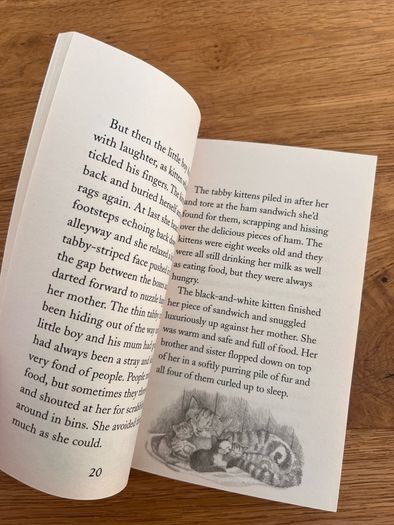 The Secret Kitten (by Holly Webb)
