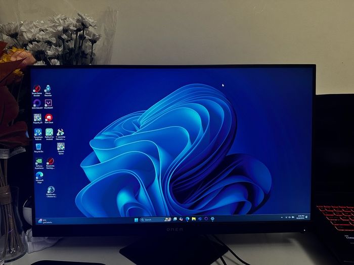 Gaming Monitor Omen 25i