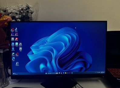 Gaming Monitor Omen 25i