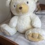 teddy bear Image 2