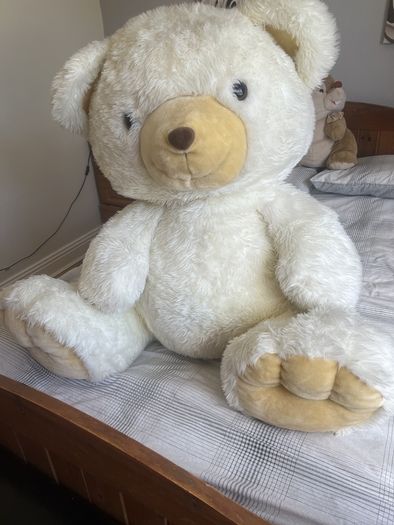 teddy bear