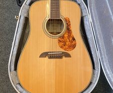 Alvarez MD60EBG - With Hiscox Case and LR Baggs Pickup