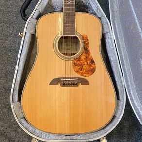 Alvarez MD60EBG - With Hiscox Case and LR Baggs Pickup
