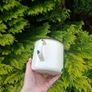Cow mesuring cup possible to post Image 5