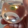 10 Piece Paperweight Bundle Image 6