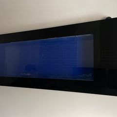 Fish tank wall mount