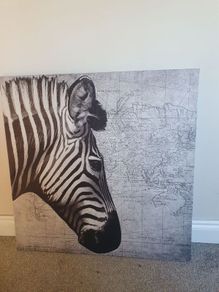 Zebra canvas picture