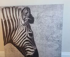 Zebra canvas picture