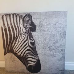 Zebra canvas picture