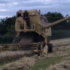 New Holland Clayson M135