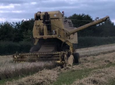 New Holland Clayson M135