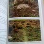 Callow Church 1812-2012 Ireland Irish County Mayo Image 8