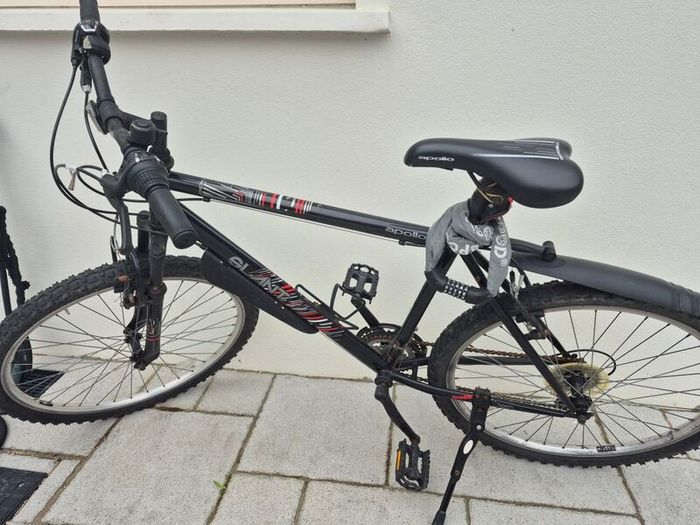 2 adult bikes