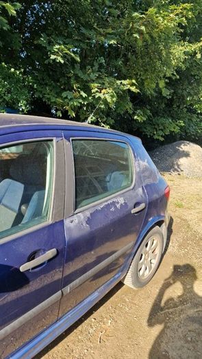 Peugeot 307 1.4 2004