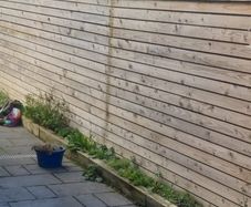 Wooden fencing