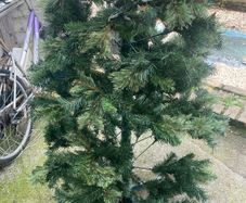 xmas tree with lights