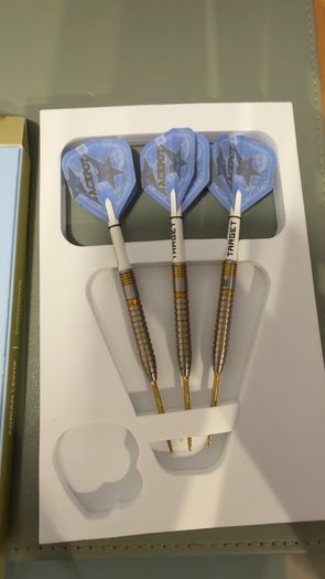 Adrian Lewis 23g Gen 5 Darts