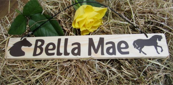 Equestrian stable door locker wooden hanging signs plaques with the horse pony name