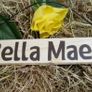 Equestrian stable door locker wooden hanging signs plaques with the horse pony name Image 4