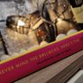 Never Mind the B#ll#cks, Heres the Science ! A Scientists Guide to the Biggest Challenges Facing our Species Today ! Hardcover ! 2021 ! by Gill Books ! Image 5