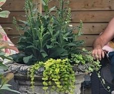 2 large planters for sale