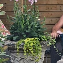 2 large planters for sale