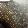 Dashboard Cover/Mat Image 3