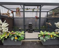 Large Cage