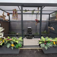 Large Cage