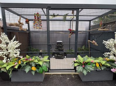 Large Cage