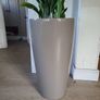 Aspidistra Elatior planter Image 4
