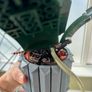 lego orchid Image 7